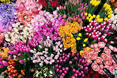 全新酒店模拟经营游戏《酒店建筑师》现已登陆Steam抢先体验！